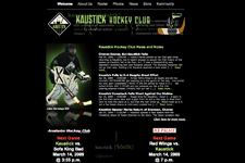 a thumbnail view of the kaustick.com website